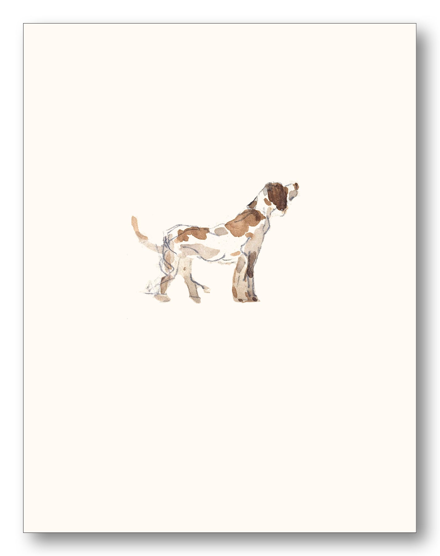 Dogs Boxed Note Cards