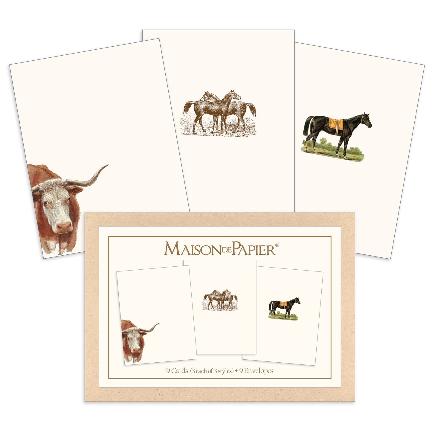 Horses & Longhorn Boxed Note Cards