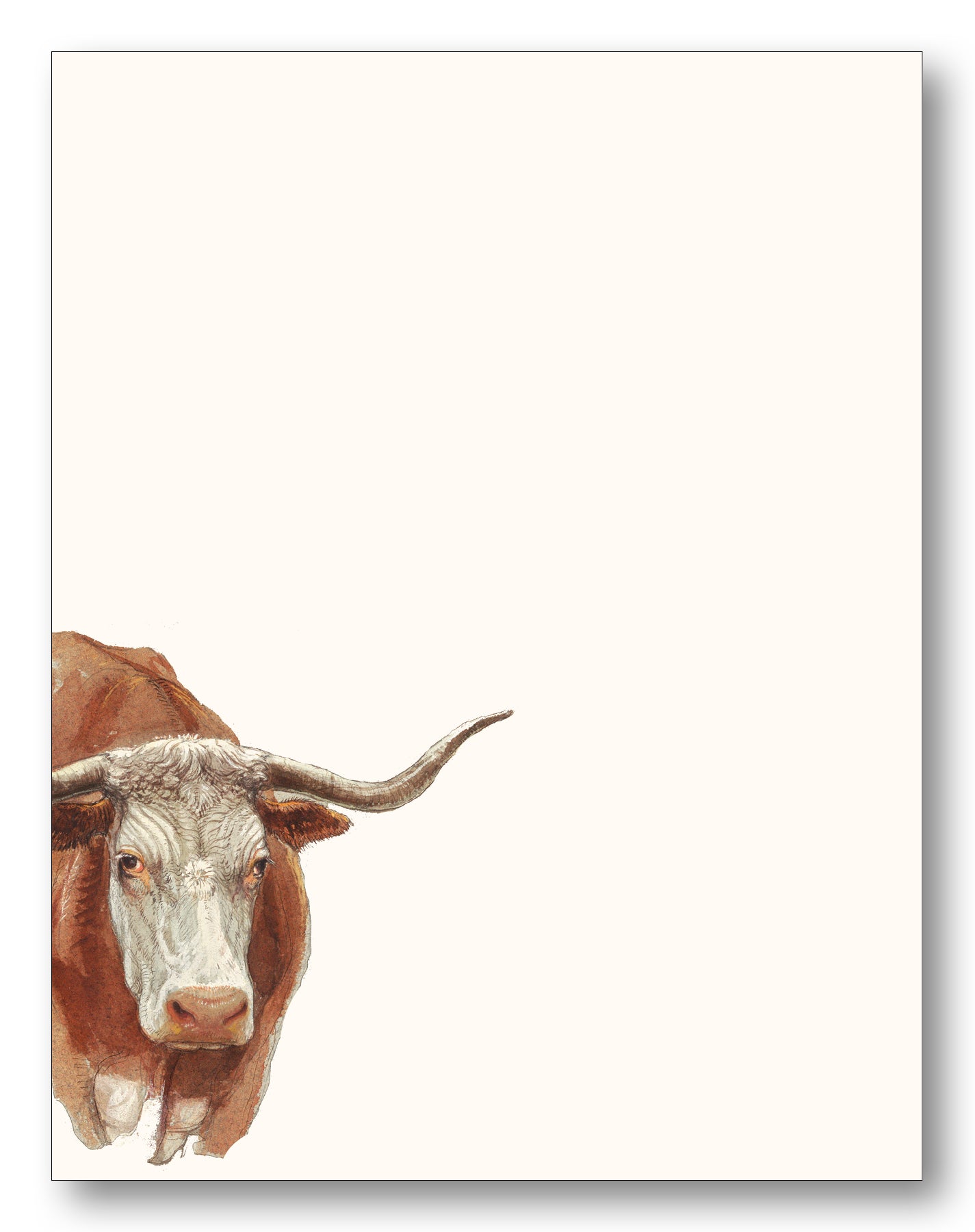 Horses & Longhorn Boxed Note Cards