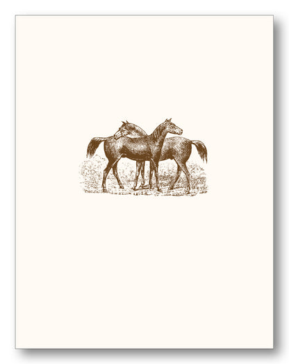 Horses & Longhorn Boxed Note Cards