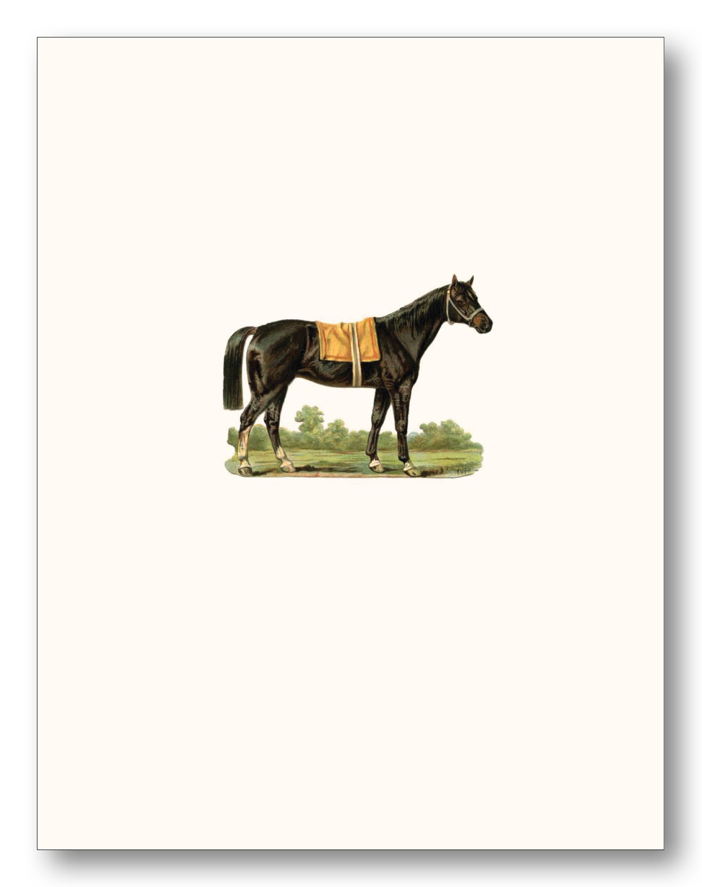 Horses & Longhorn Boxed Note Cards