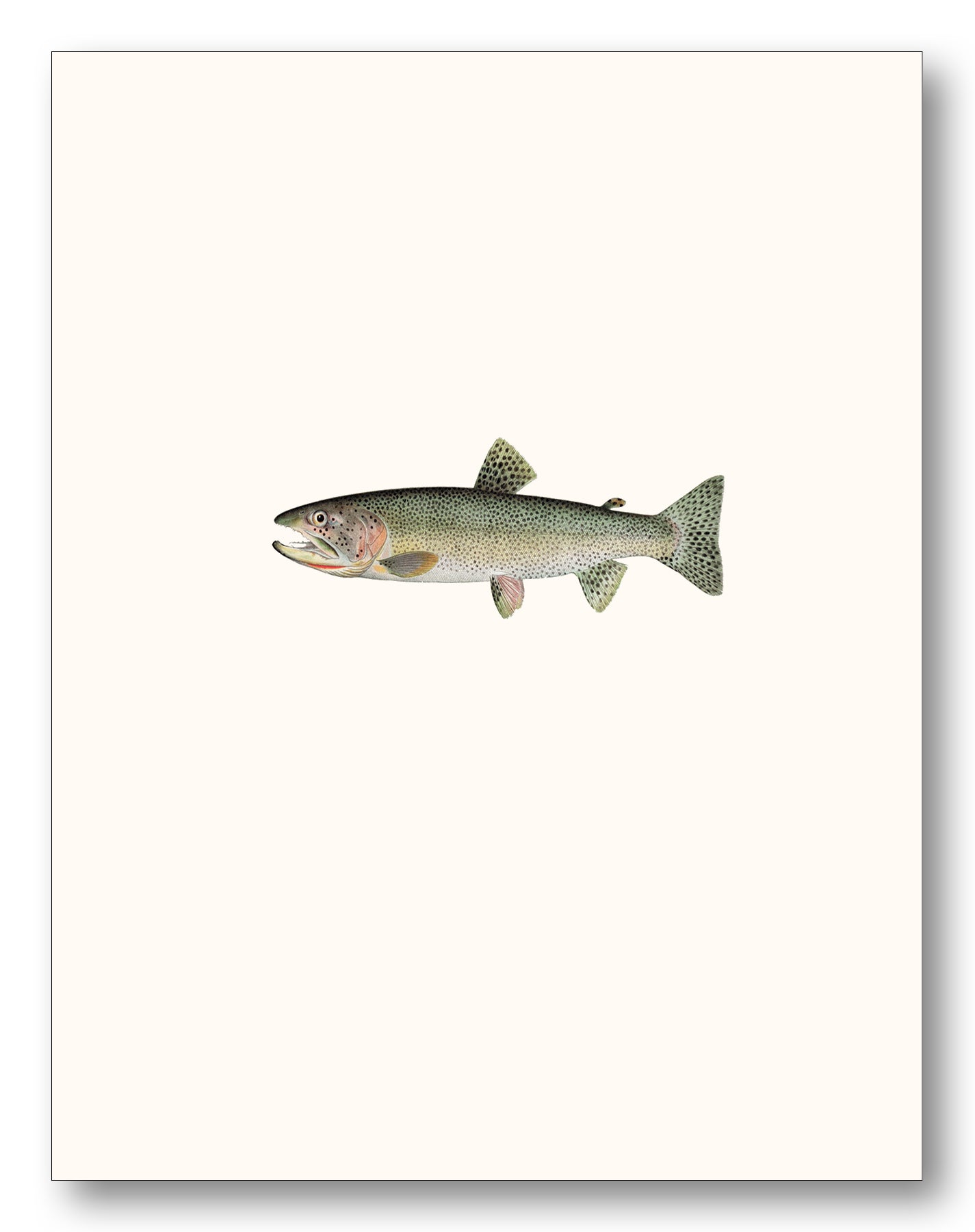 Fishing Boxed Note Cards