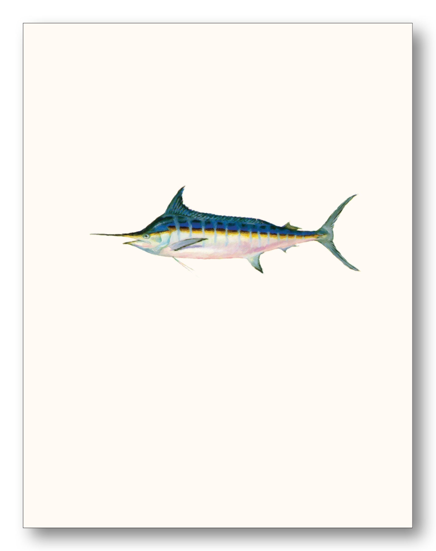 Fishing Boxed Note Cards