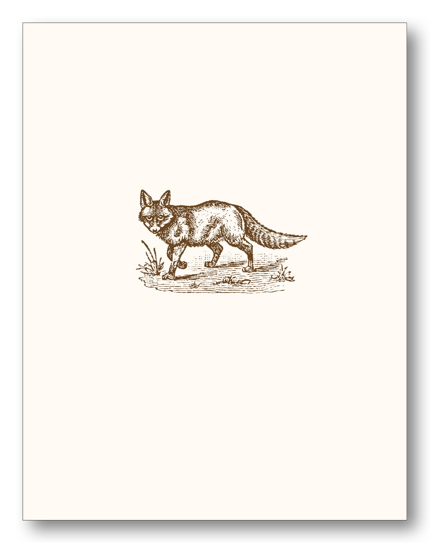 Hunt Boxed Note Cards