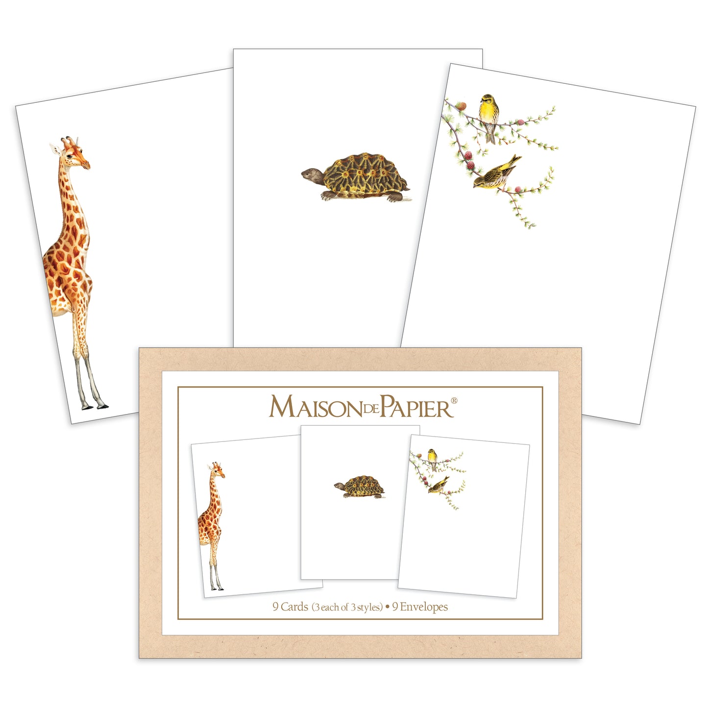 Wildlife Boxed Note Cards