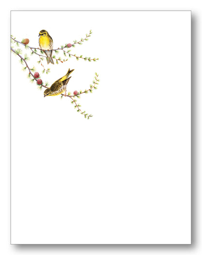 Wildlife Boxed Note Cards