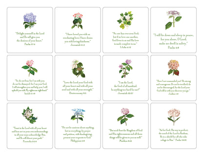 Hydrangea - 24 Verses