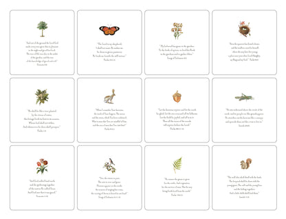 Nature Verses Oversized