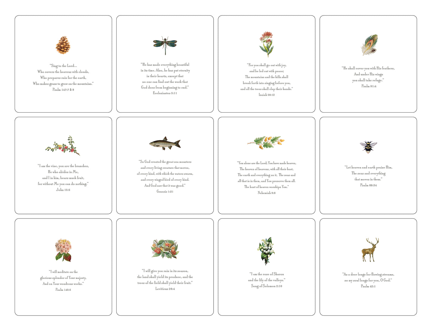 Nature Verses Oversized