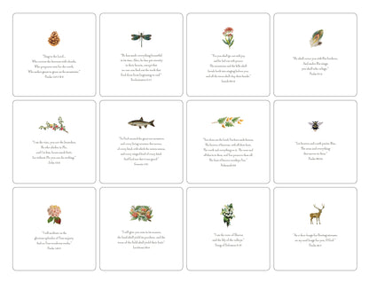 Nature Verses Oversized