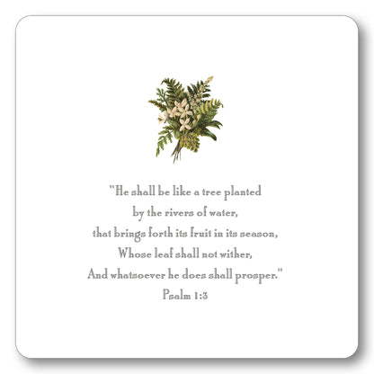 Nature Verses Oversized