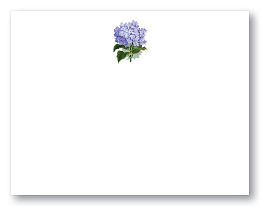 Hydrangea Note Card